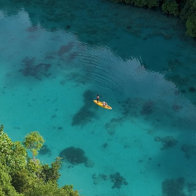  .......arrasso   'recent posts' 