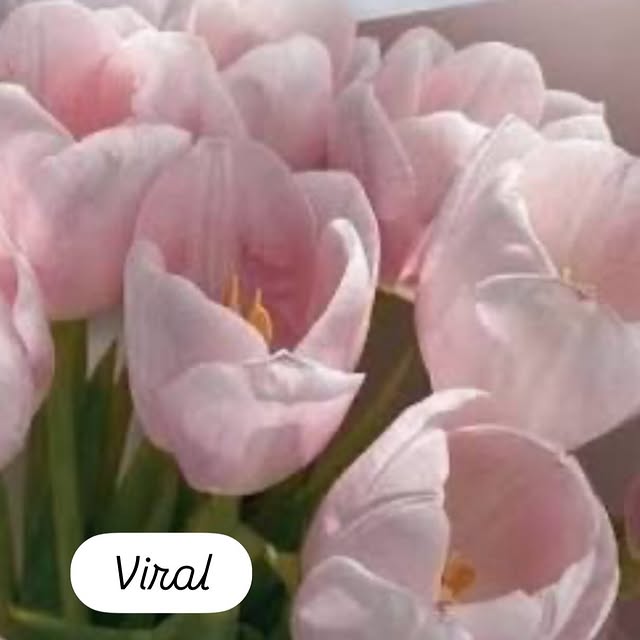  ......enutah   'recent posts' 