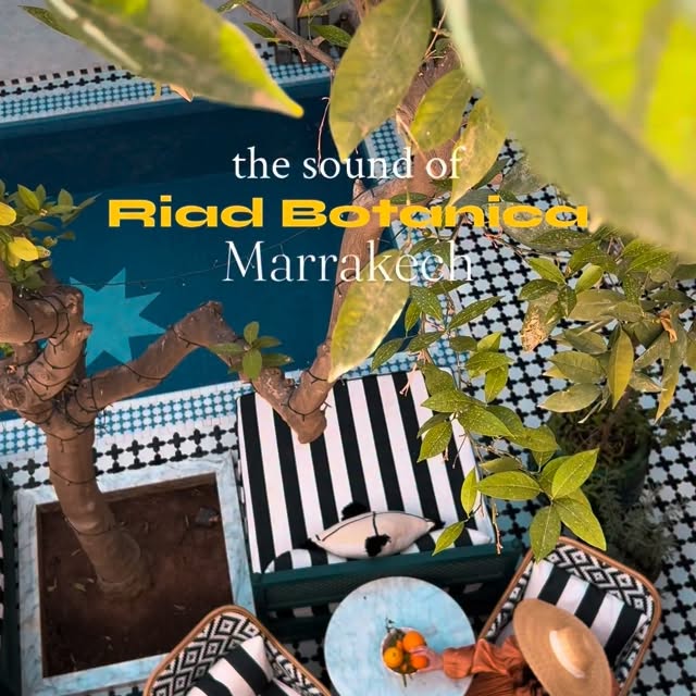  .........alexandra   'recent posts' 