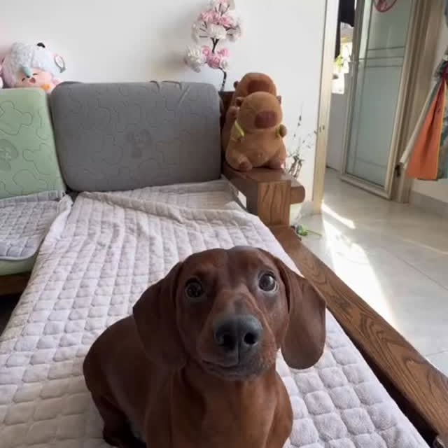  ..........fan.club_   'recent posts' 