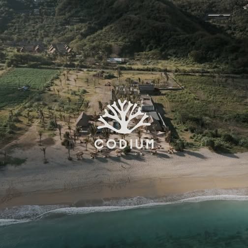  .......carrillo   'recent posts' 