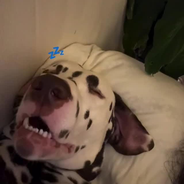  ......psworld   'recent posts' 