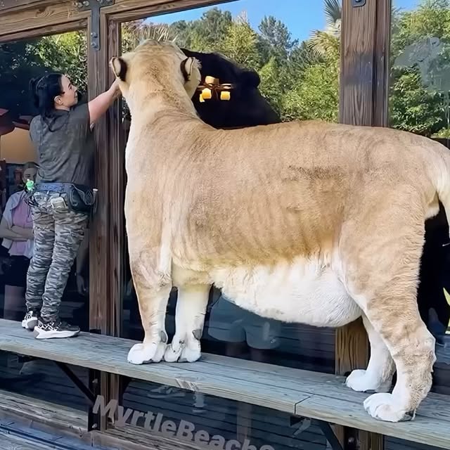  ........malsgram   'recent posts' 