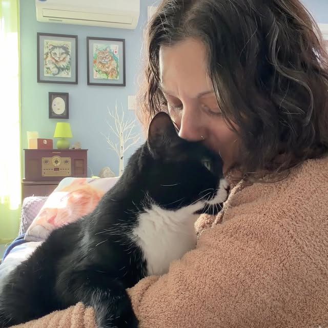  .........tofficial   'recent posts' 