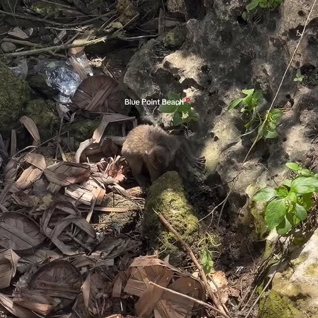  ..arn   'recent posts' 