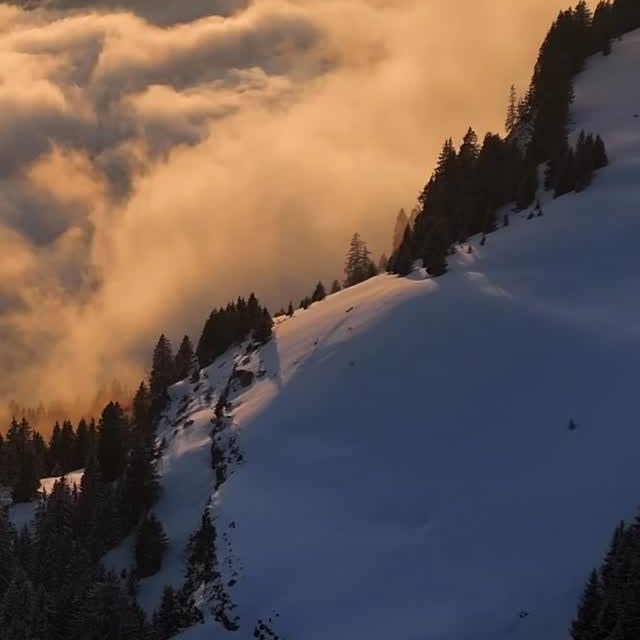  .........rancaises   'recent posts' 