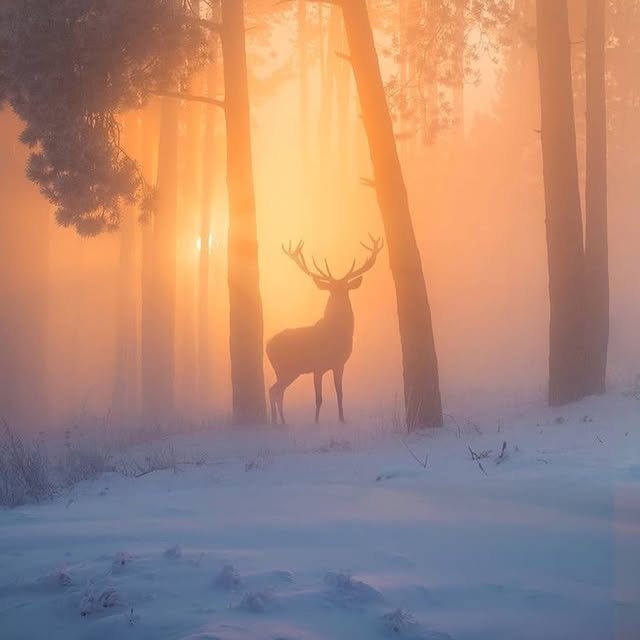  ......erfever   'recent posts' 