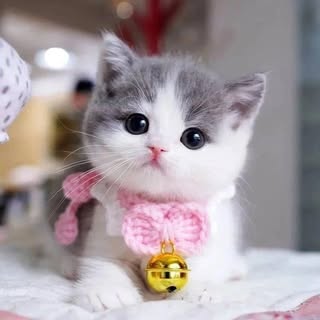 Hire .......sinhome influencer with 192.3k