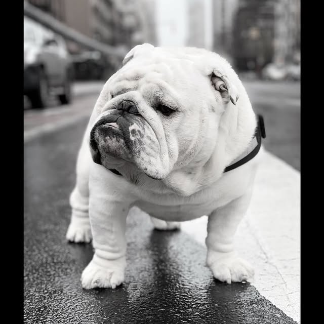  ......rwhite   'recent posts' 