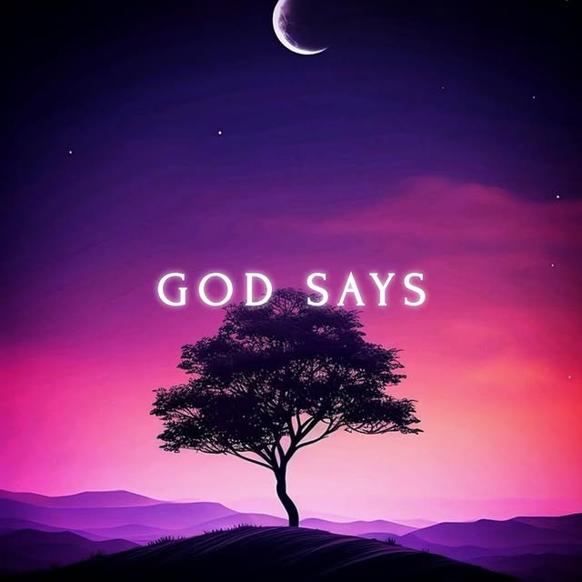  ...sayz   'recent posts' 