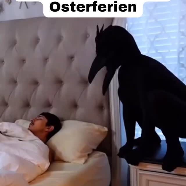  ........en.memes   'recent posts' 