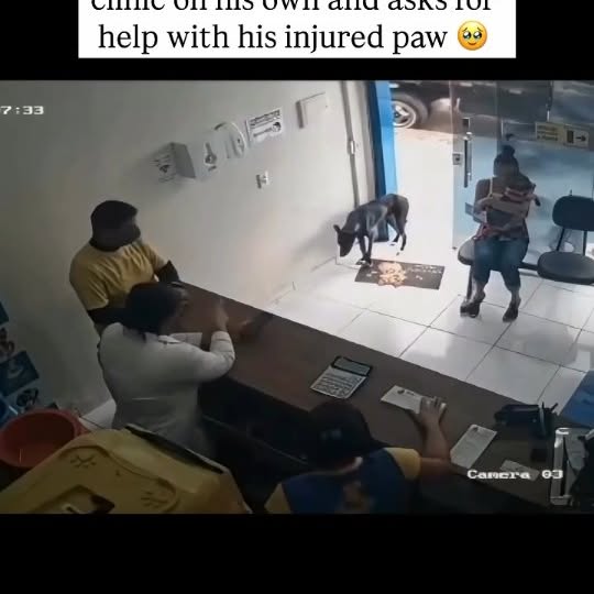  ......imalshq   'recent posts' 