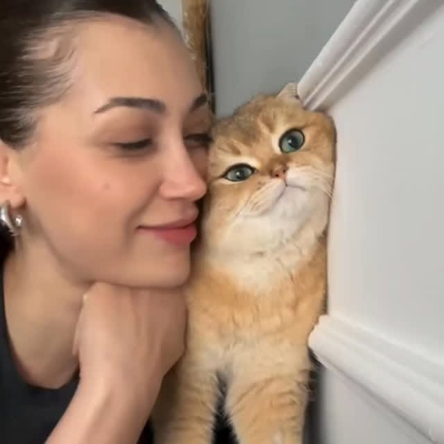  .......skittens   'recent posts' 