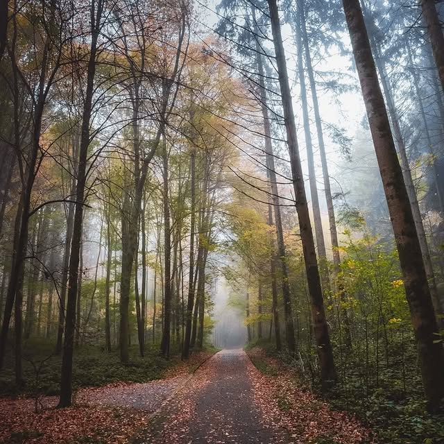  .......ul_lives   'recent posts' 