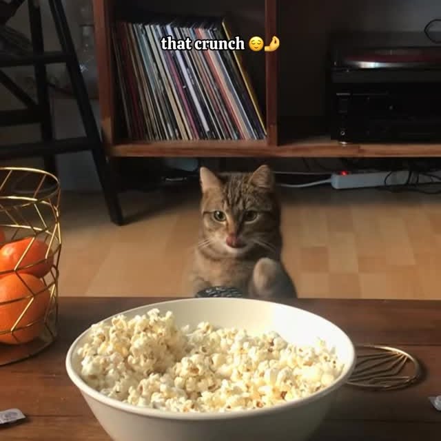  ...........irtonguesout   'recent posts' 