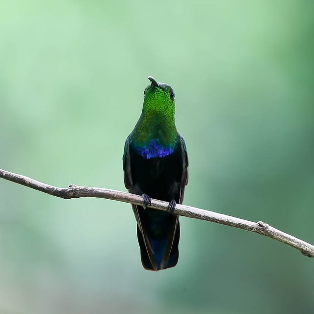  .....yland   'recent posts' 