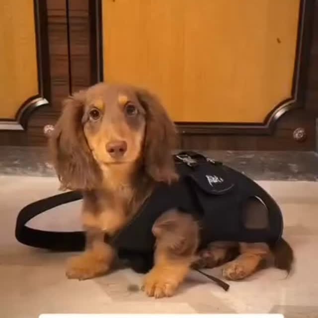  ..........fan.club_   'recent posts' 