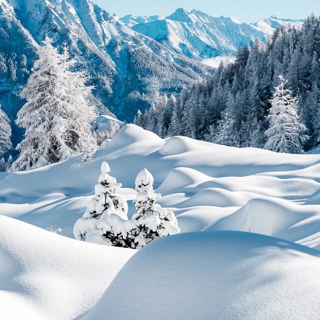  .........rancaises   'recent posts' 