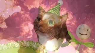  ...3c12  'recent videos' 