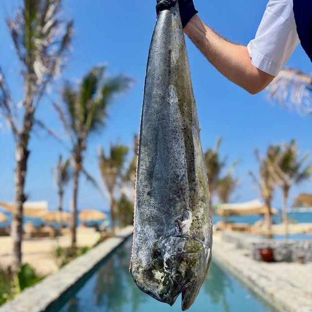  .......carrillo   'recent posts' 