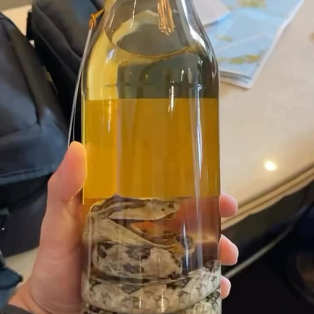  ......aveling   'recent posts' 