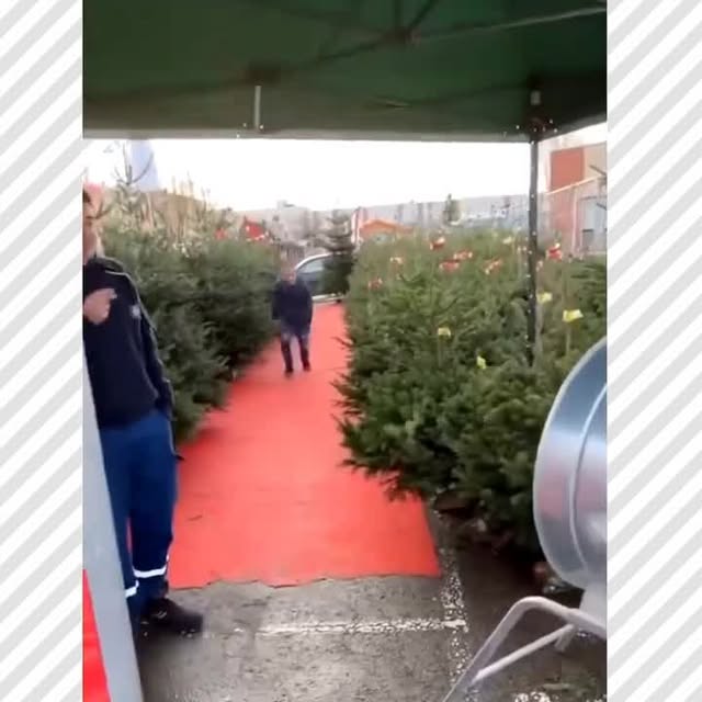  ......_viralz   'recent posts' 