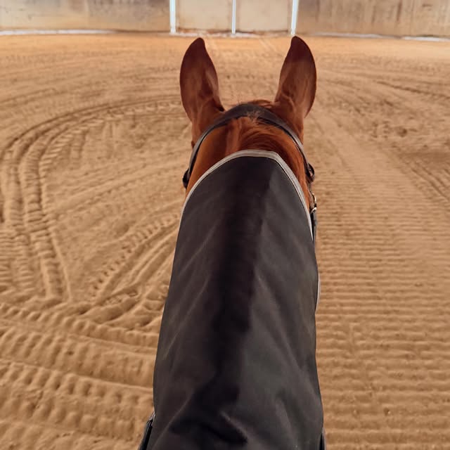  .....hulse   'recent posts' 