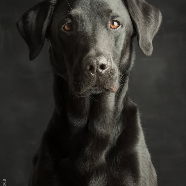  ..........hotography   'recent posts' 