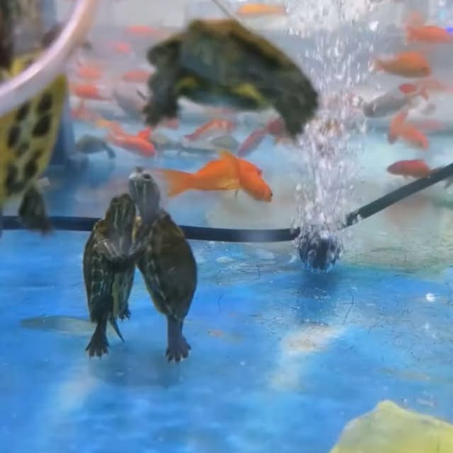  ....360vr   'recent posts' 