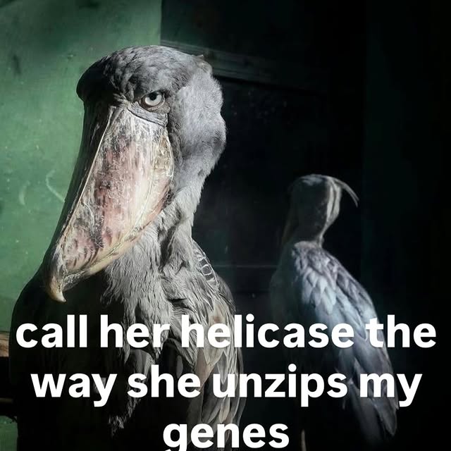  ..........rdoftheday   'recent posts' 