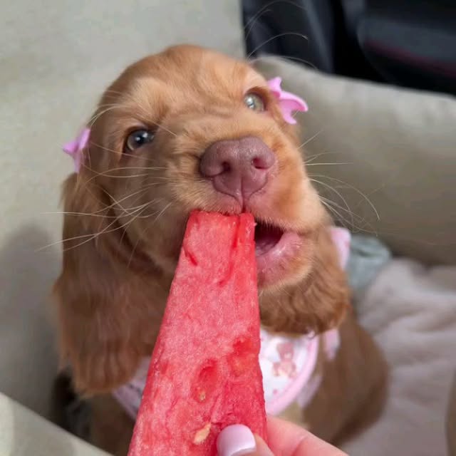  ......ofinsta   'recent posts' 