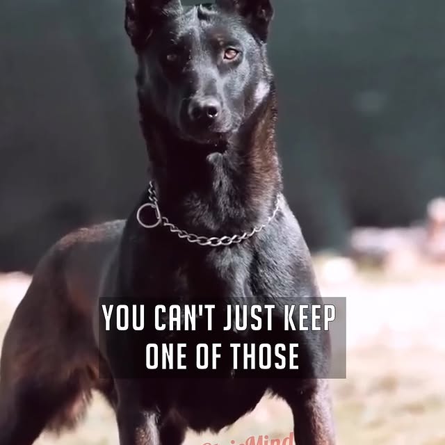  .......icmind_   'recent posts' 