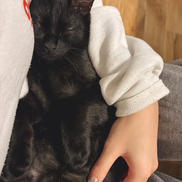  .......ats_club   'recent posts' 