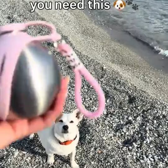  ..........ldogs_only   'recent posts' 