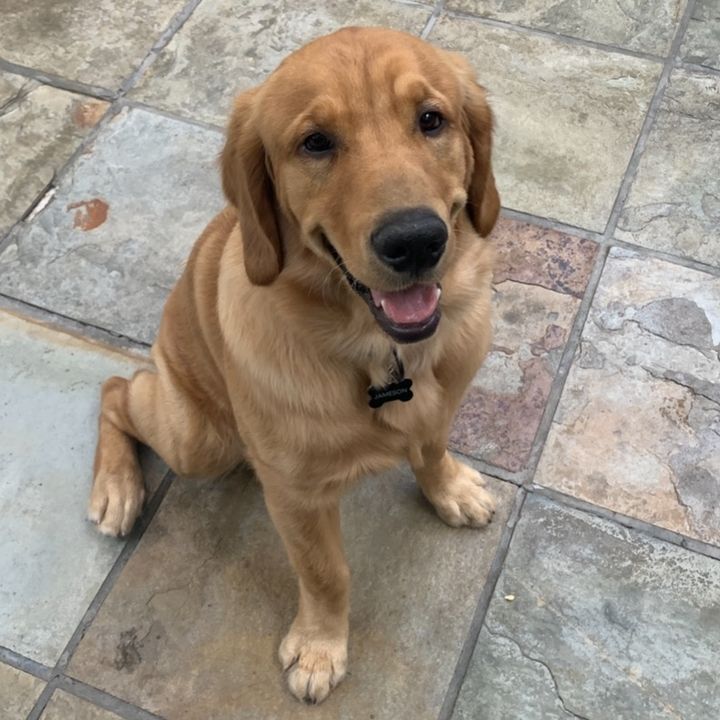 Hire .......ormesser influencer with 71.4k