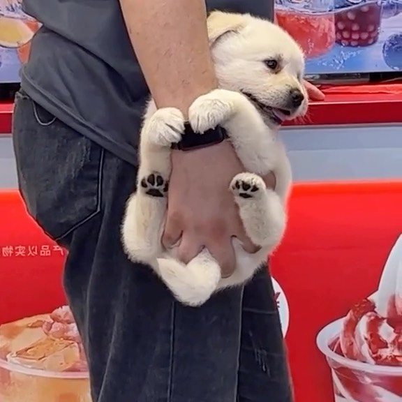  ......s.club   'recent posts' 