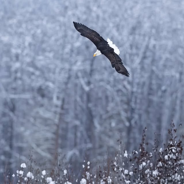  ..........discoverer   'recent posts' 