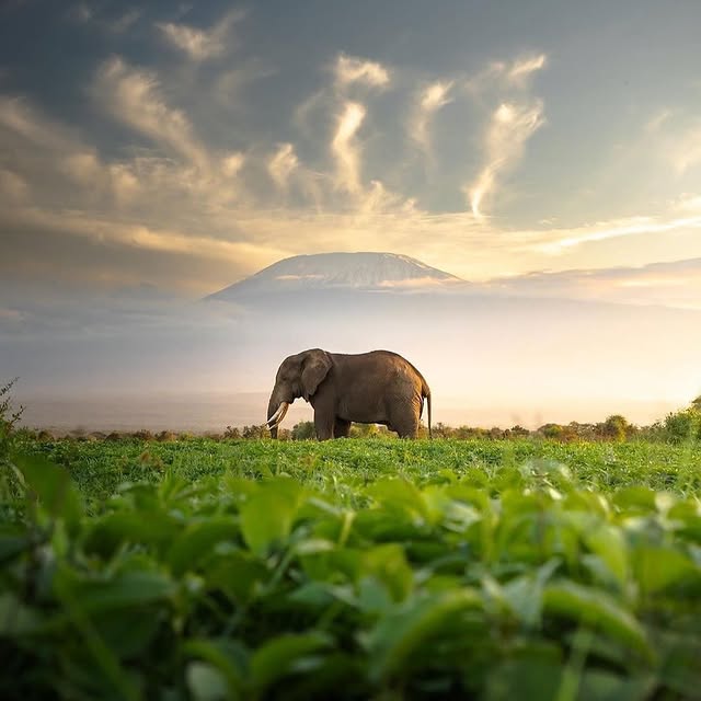  ......sfever   'recent posts' 