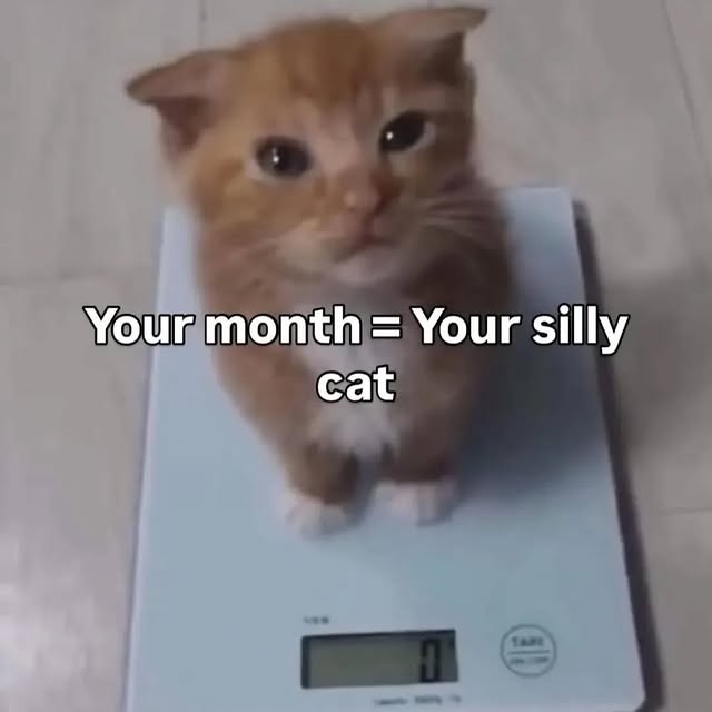  .....attos   'recent posts' 