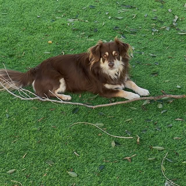  .....og2020   'recent posts' 