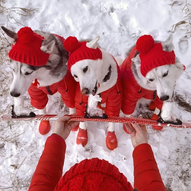  .....eteers   'recent posts' 