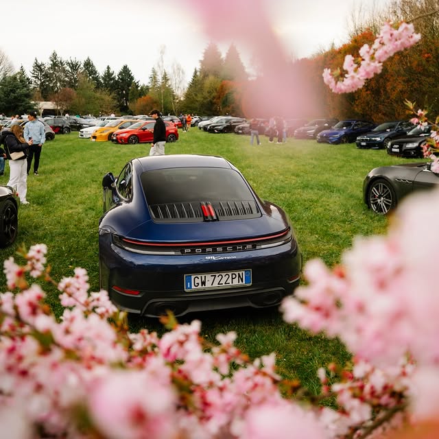  ........observer   'recent posts' 