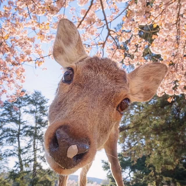  ......fervor   'recent posts' 