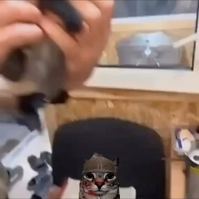  ....eowsy   'recent posts' 