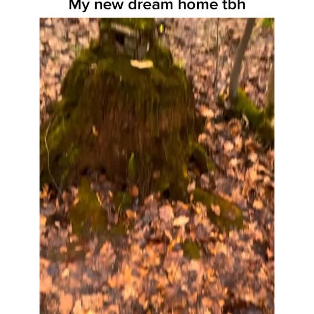  ..obe   'recent posts' 