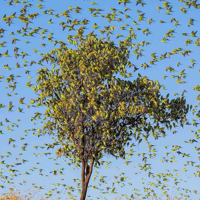  ......fervor   'recent posts' 