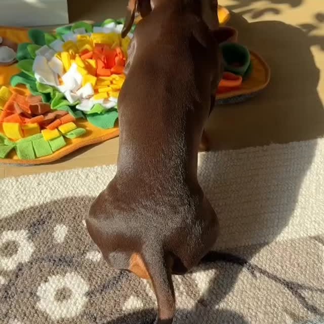  ..........fan.club_   'recent posts' 