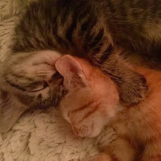  .......world.in   'recent posts' 