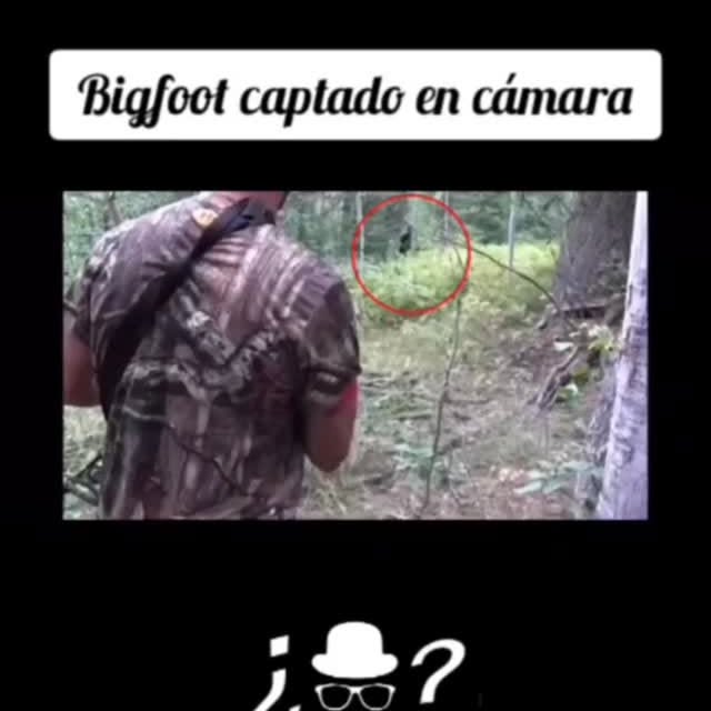  .......terioso   'recent posts' 