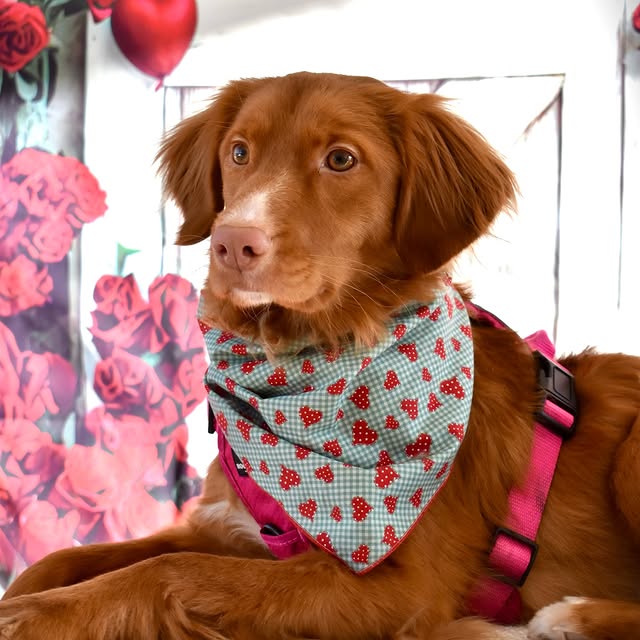  ......atoller   'recent posts' 